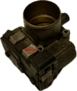 IMG_7773.png