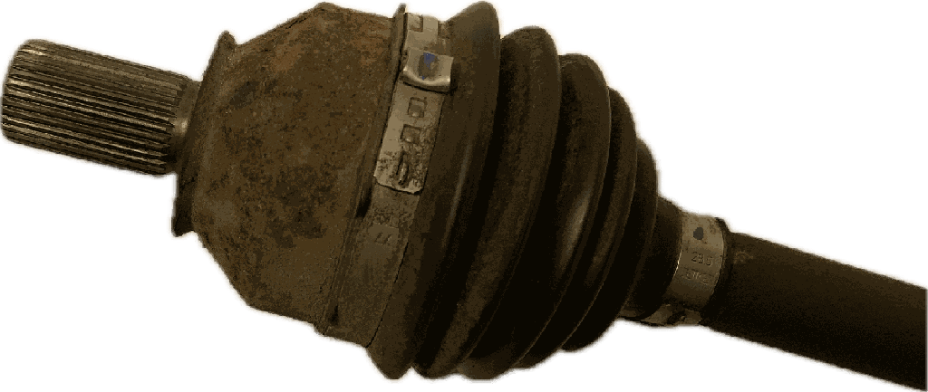 IMG_8029.png