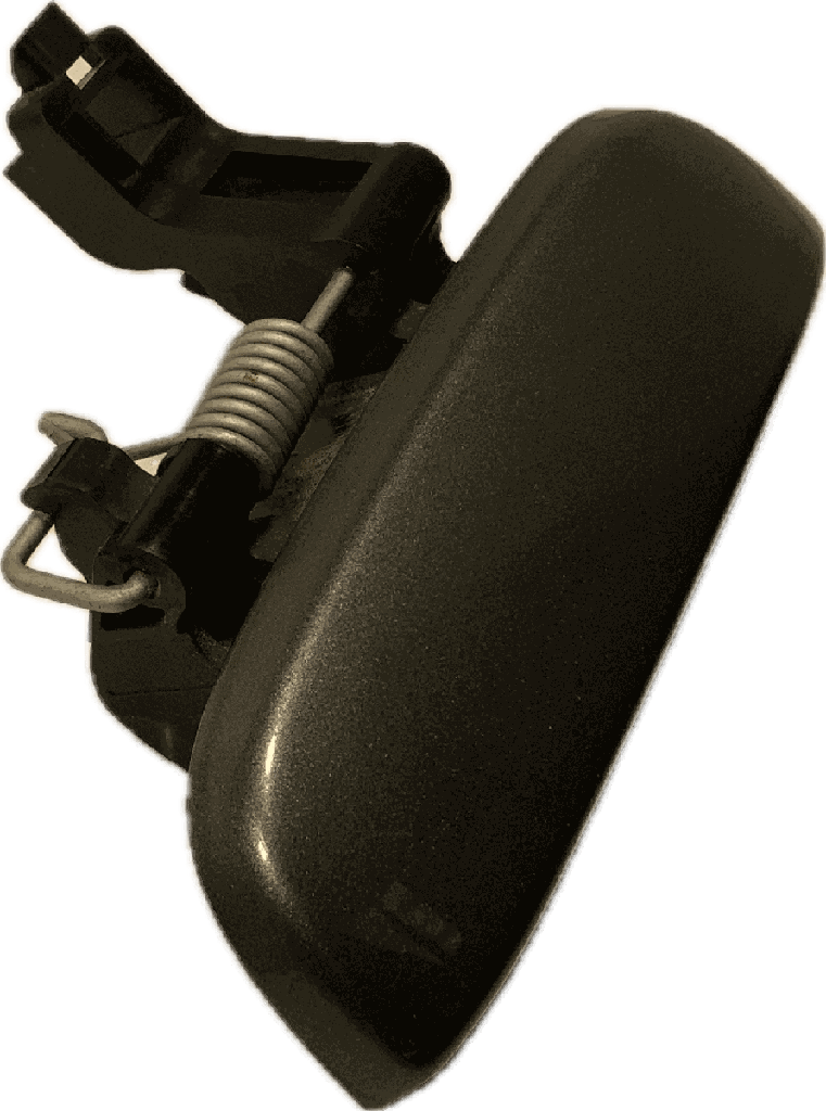 IMG_7979.png