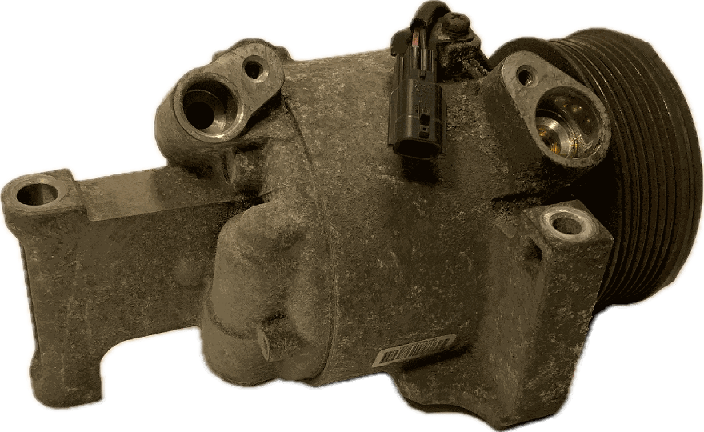 IMG_7956.png