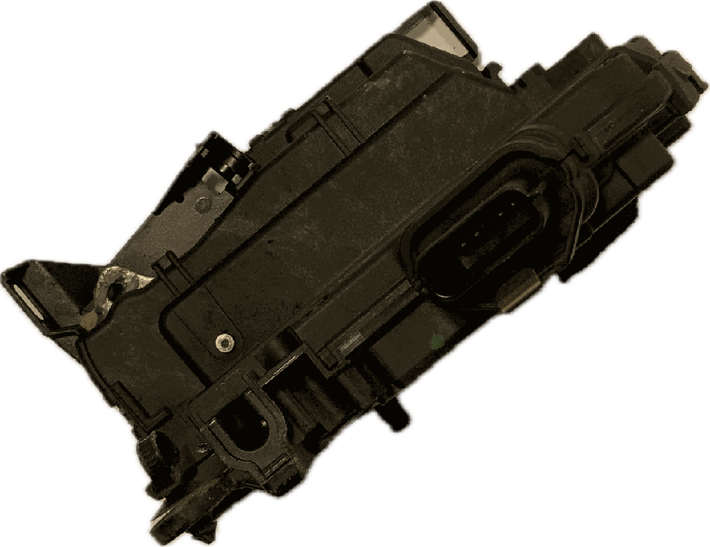 IMG_7985.png