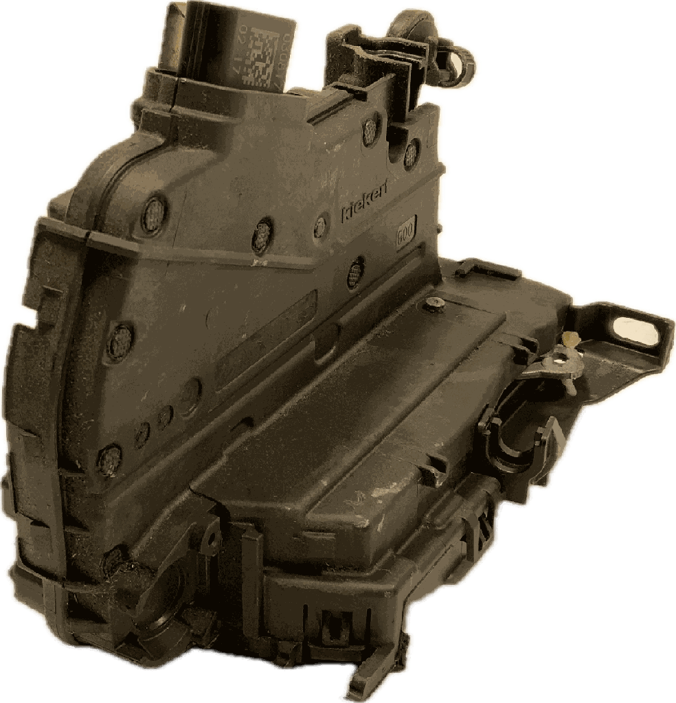 IMG_7983.png