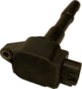 IMG_7942.png