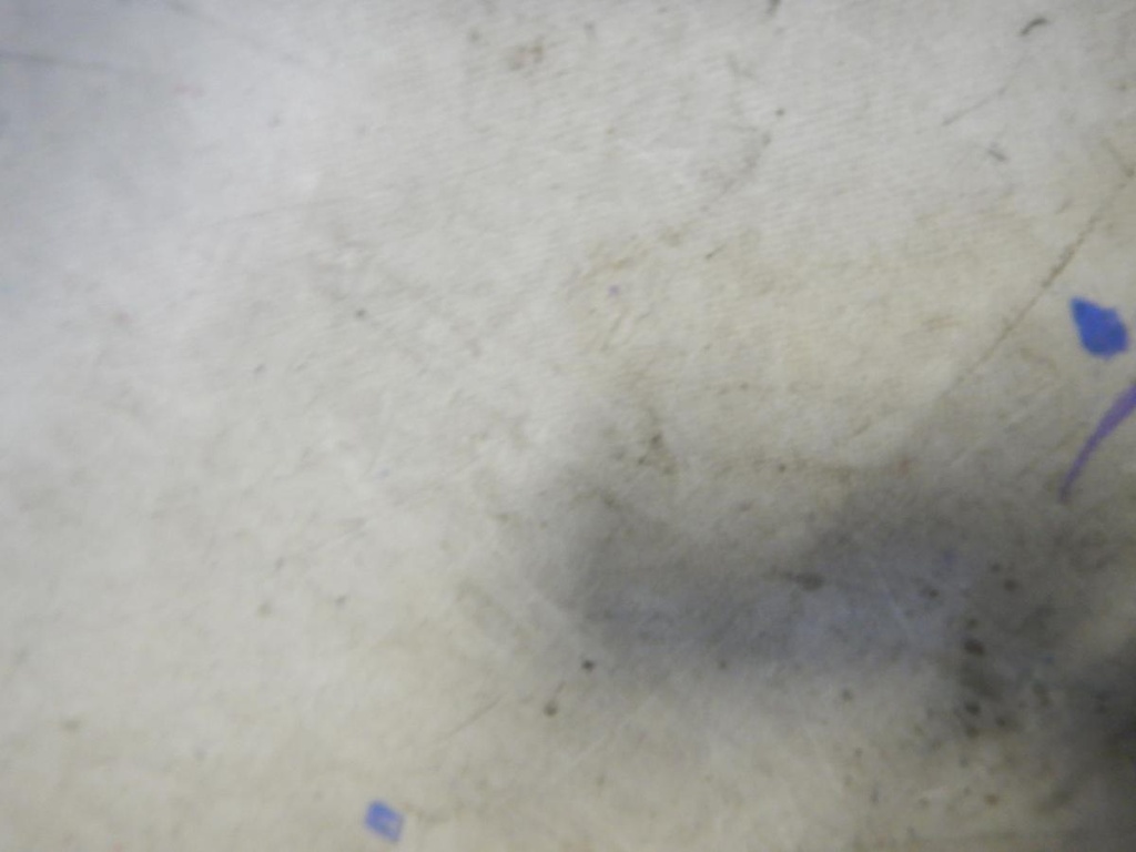 DSCN8669.JPG