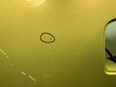 IMG_8417.jpeg