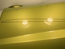 IMG_8433.jpeg