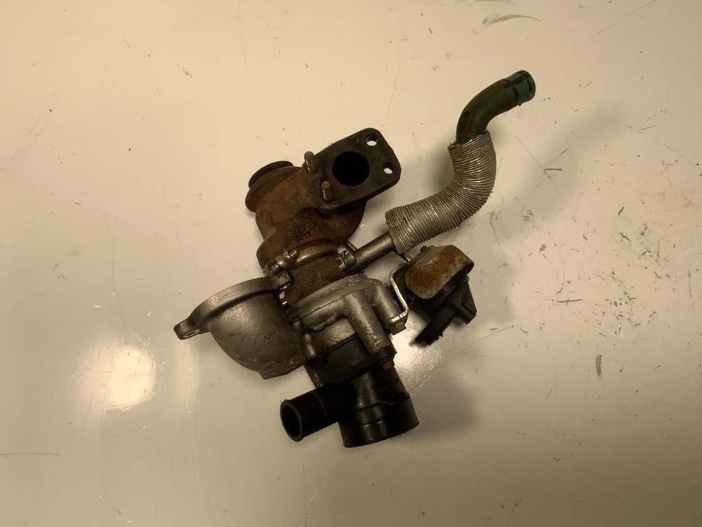 IMG_8634.jpeg