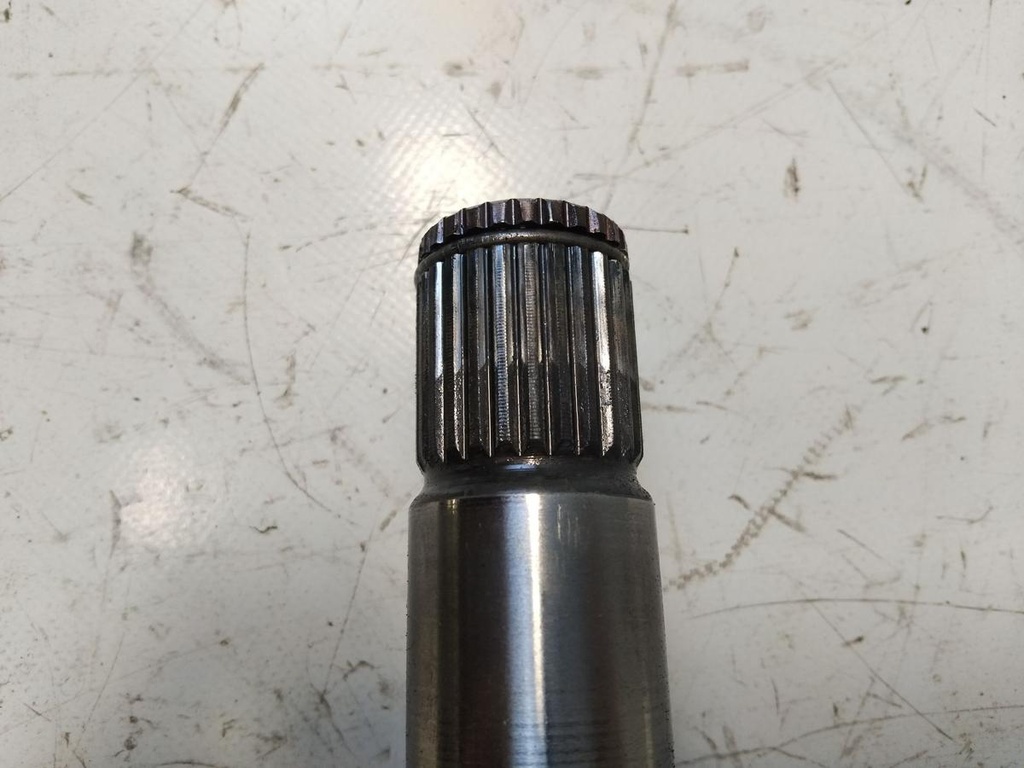IMG_20260127_151019.jpg