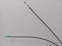 20260127_134709.jpg