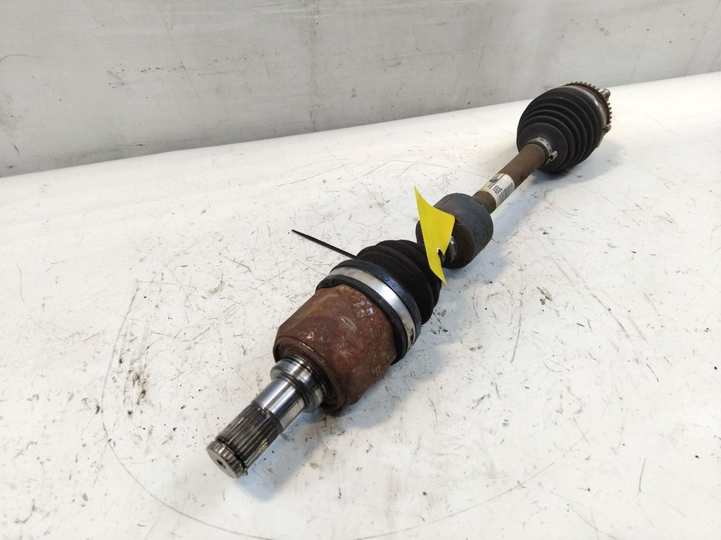 IMG_20260129_152551.jpg
