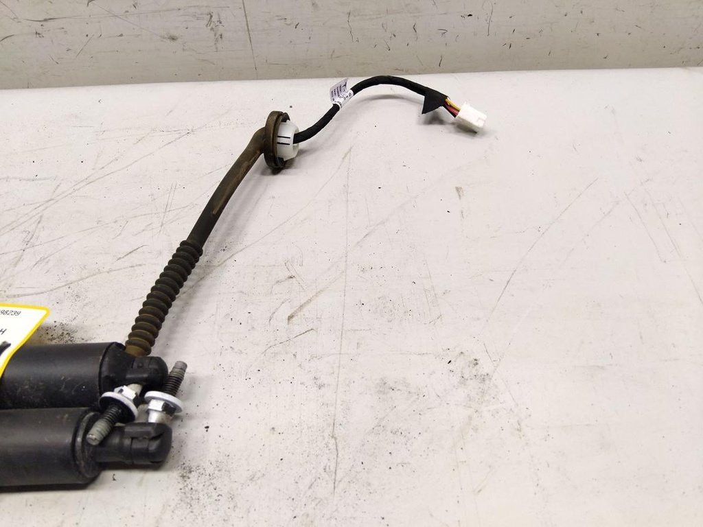 IMG_20260130_111431.jpg