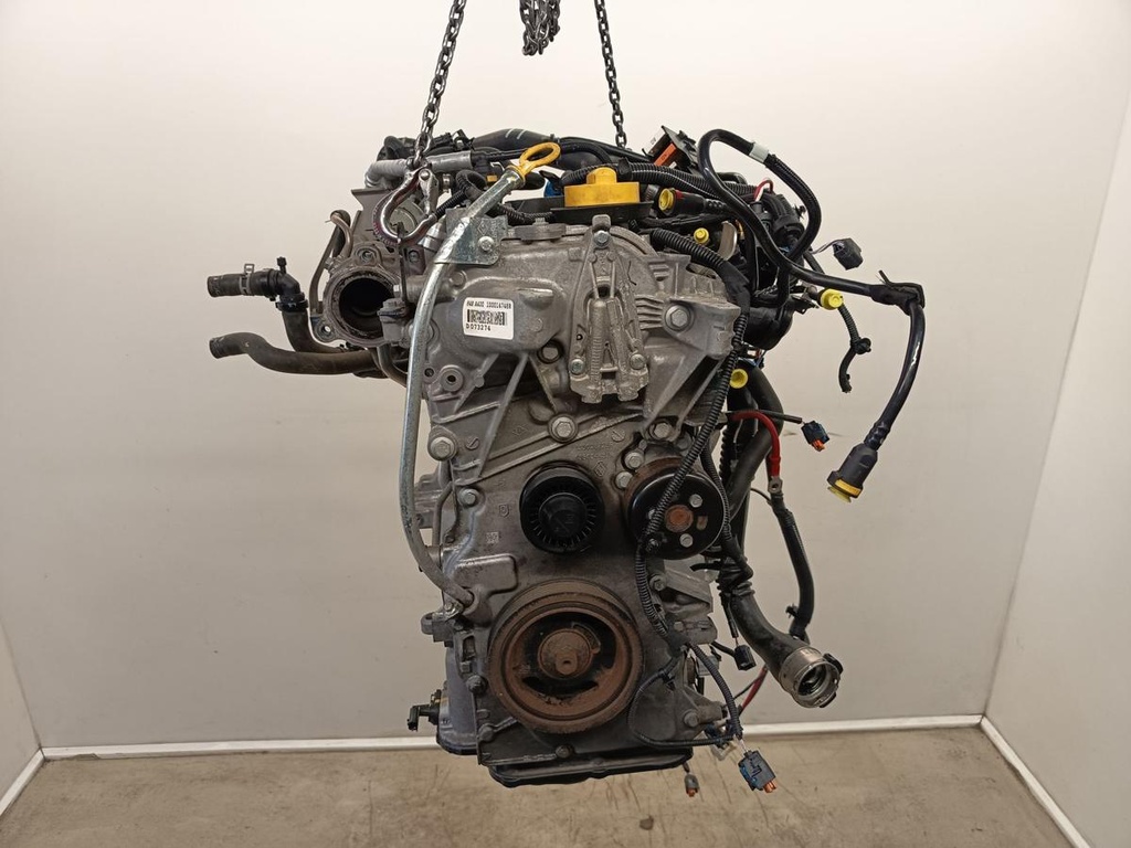 IMG_20260210_111649.jpg