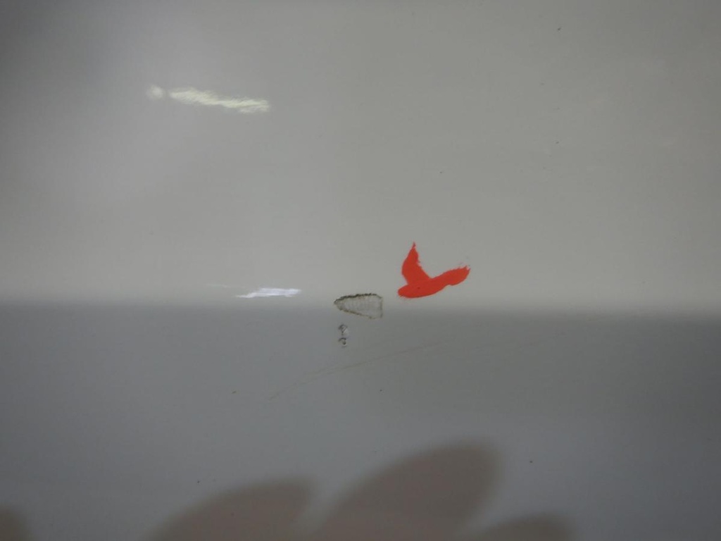 DSCN9706.JPG