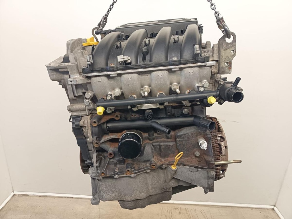 IMG_20260212_124407.jpg