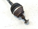 IMG_20260212_131304.jpg