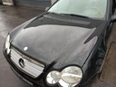 IMG_20260213_103043.jpg