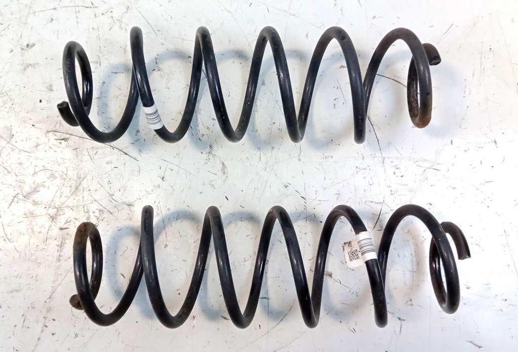 IMG_20260219_160426_485.jpg