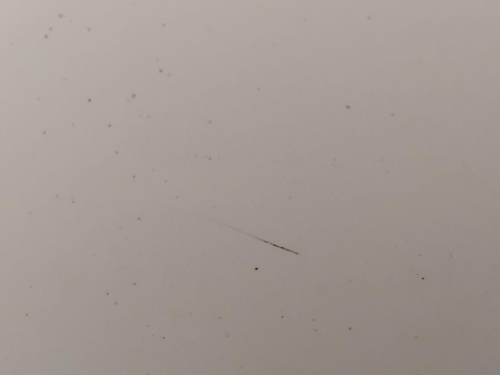 IMG_20260302_101244.jpg