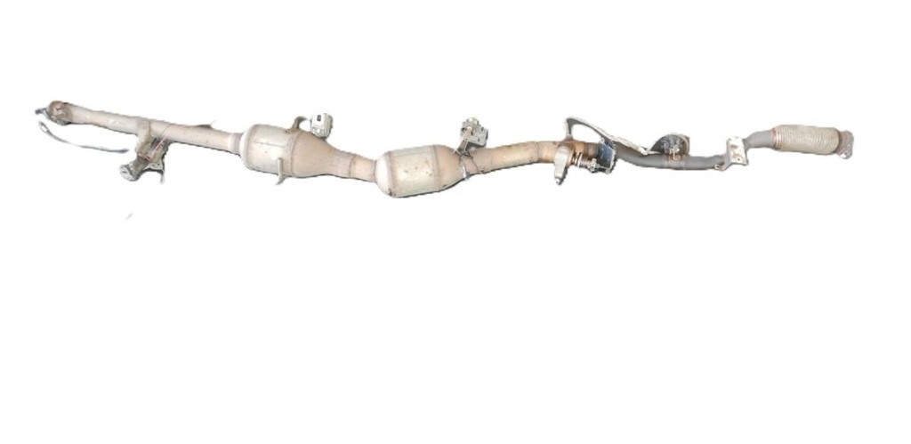 Vivaro 028.JPG