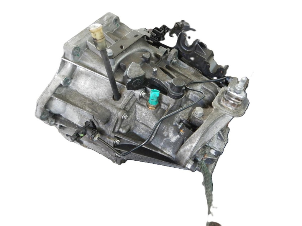 Vivaro 038.JPG