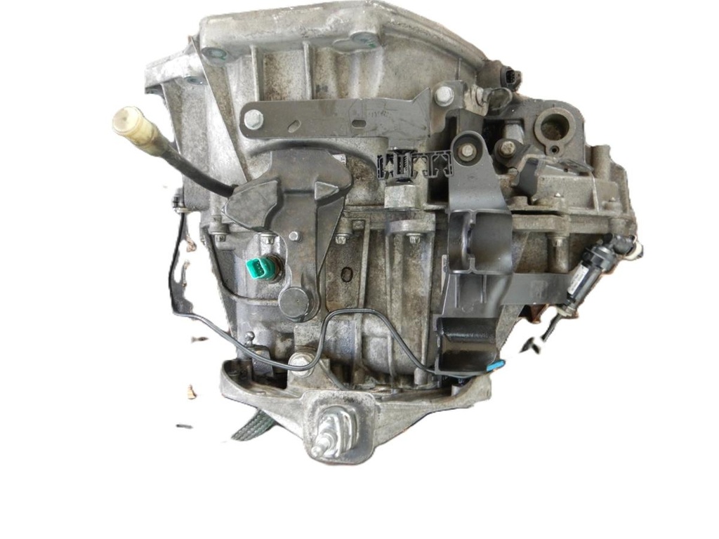 Vivaro 036.JPG