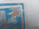 20260304_145920.jpg