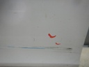 DSCN0124.JPG