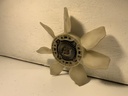 IMG_9552.jpeg