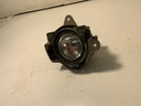 IMG_9617.jpeg