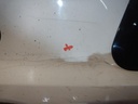 DSCN0387.JPG