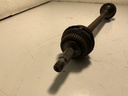 IMG_0517.jpeg