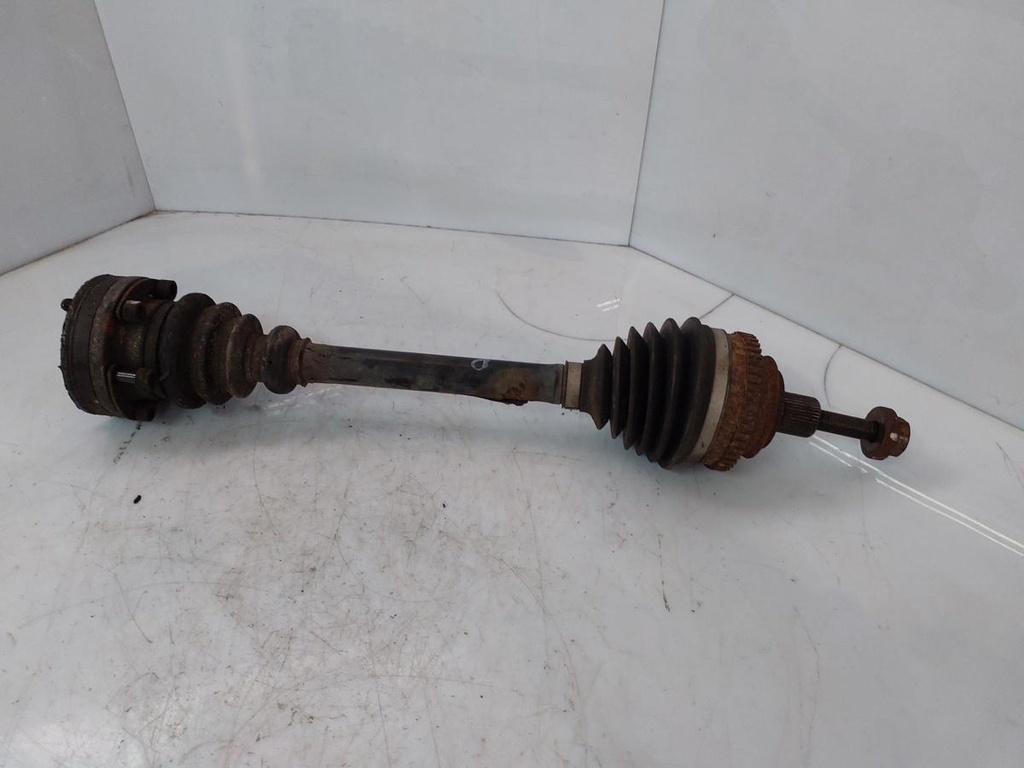 20260319_142233.jpg