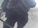 IMG_20260320_101509.jpg