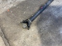 IMG_0702.jpeg