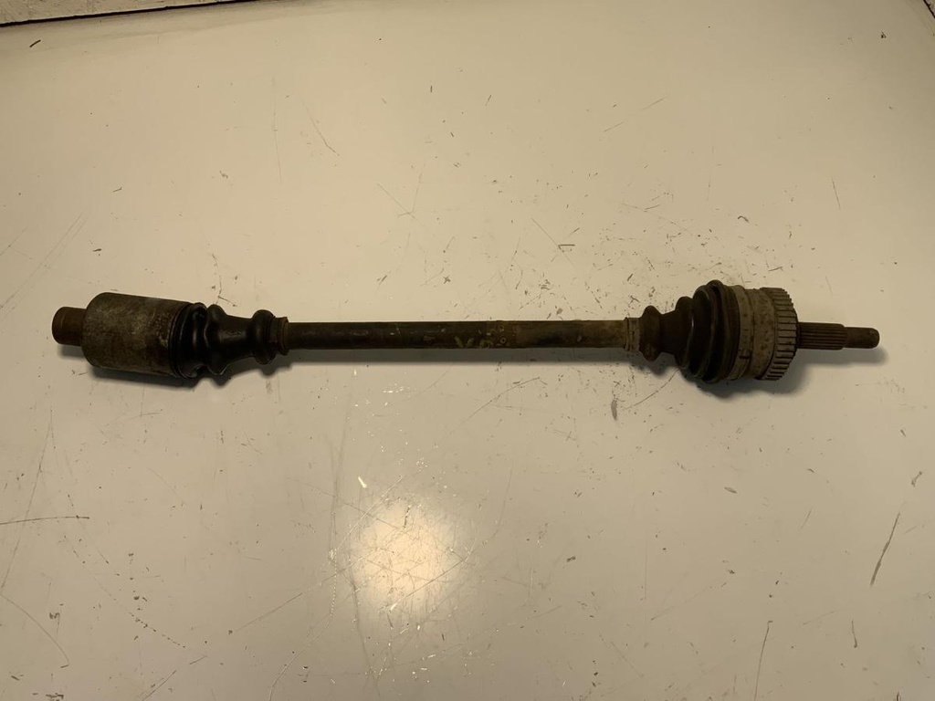 IMG_0751.jpeg