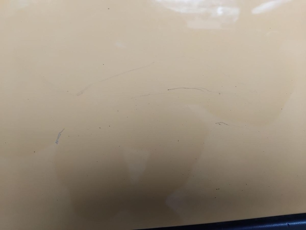 IMG_20260326_085946.jpg