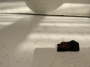 IMG_1326.jpeg