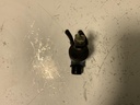IMG_1998.jpeg