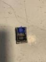 IMG_2270.jpeg