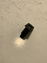 IMG_2288.jpeg