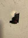 IMG_2291.jpeg