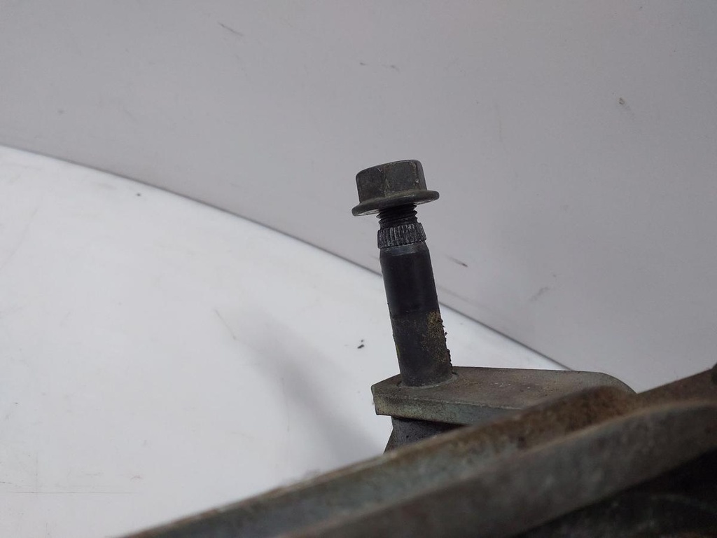 20260401_112419.jpg