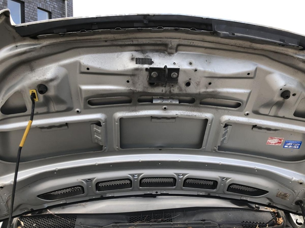 IMG_1463.JPG