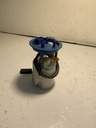 IMG_2877.jpeg