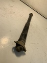 IMG_2903.jpeg
