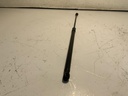 IMG_2824.jpeg