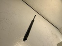 IMG_2829.jpeg