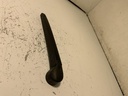 IMG_2689.jpeg