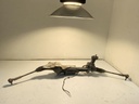 IMG_2970.jpeg