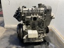 IMG_2991.jpeg